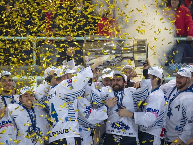 Hockeyspieler Hockeyspieler
