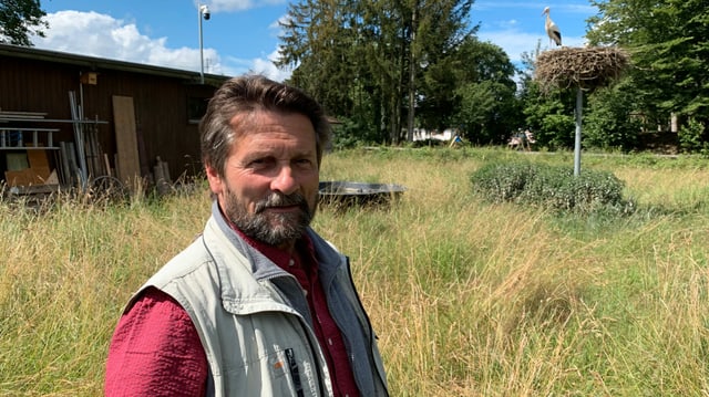 Leiter der Storchenstation Möhlin vor einem Storchennest Leiter der Storchenstation Möhlin vor einem Storchennest