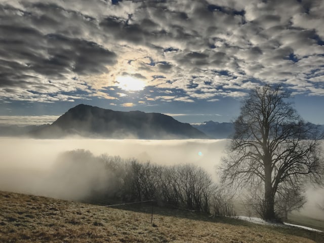 Heute Morgen um 9.30 Uhr auf dem Michaelskreuz knapp über der Nebelgrenze. Die Sonne hinter der Rigi, Wolkendecke, Nebel... Wunderschö