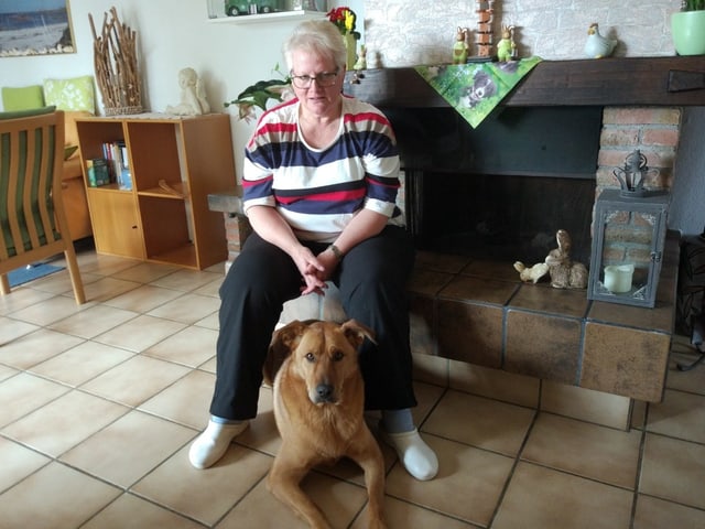 Frau Monique Drago mit Schäfermischlingshund Timor. Frau Monique Drago mit Schäfermischlingshund Timor.