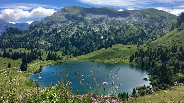 Der Seebergsee im Diemtigtal. Der Seebergsee im Diemtigtal.