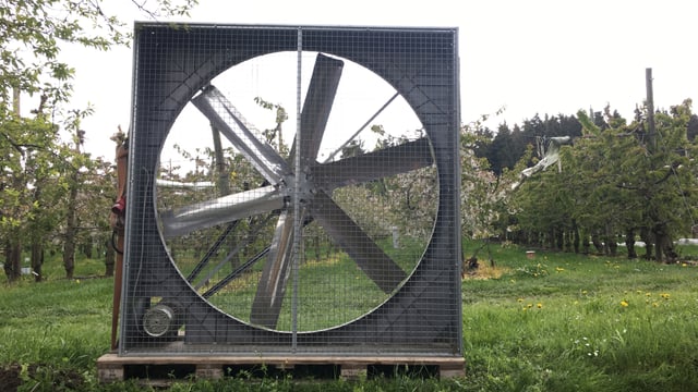 Ventilator, der Kaltluft absaugt Ventilator, der Kaltluft absaugt