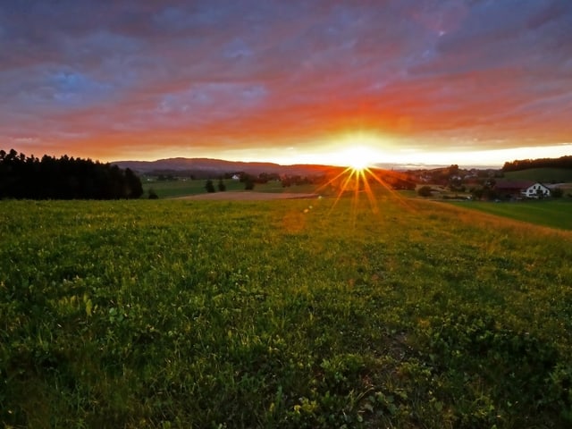 Sonnenuntergang hinter einem Feld