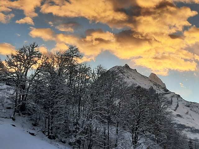 Das verschneite Schreckhorn mit gelb leuchtenden Wolken.
