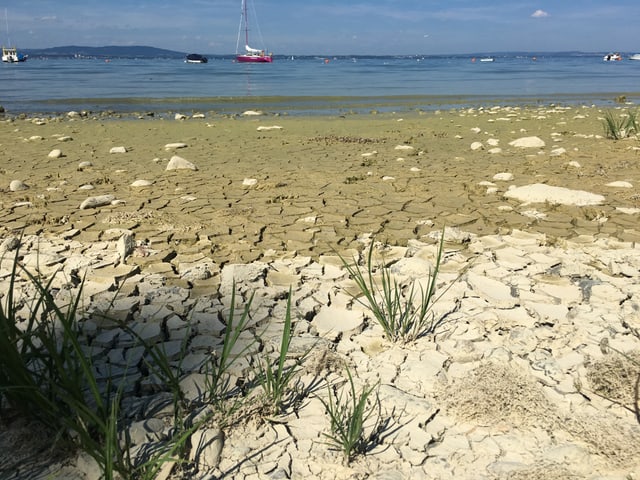 Trockenheit am Bodensee. Der schlammige Uferbereich ist freigelegt und trocken mit Rissen.