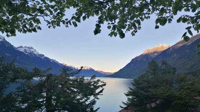 Blick vom Bahnhof Brienz-West auf den Brienzersee bei wolkenlosem Himmel. Blick vom Bahnhof Brienz-West auf den Brienzersee bei wolkenlosem Himmel.