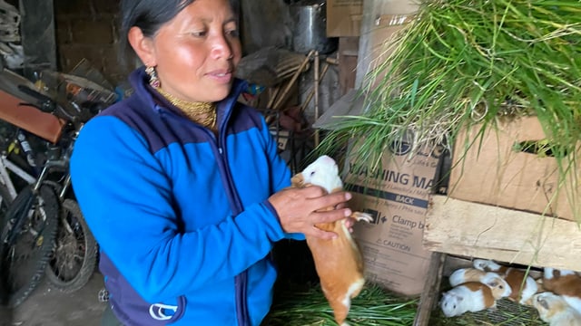 Frau mit Meerschweinchen Frau mit Meerschweinchen