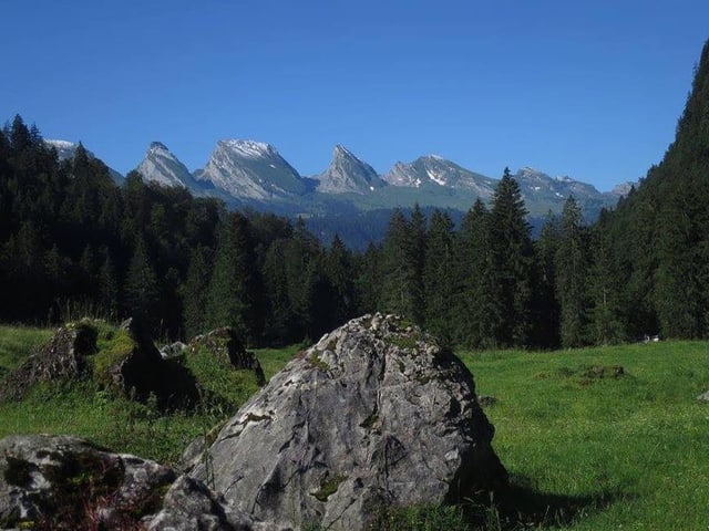 «Expedition Glück» - Das sind die Glücksmomente der SRF-User - News - SRF