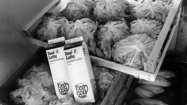 Aufnahme von Salatköpfen und zwei Milchpackungen Aufnahme von Salatköpfen und zwei Milchpackungen