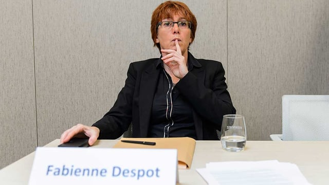Despot an Medienkonferenz Despot an Medienkonferenz