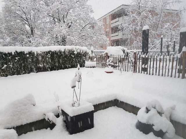 ca. 15 cm Schnee.