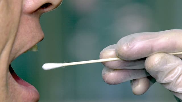 Ein DNA-Test über die Mundschleimhaut mit Wattestäbchen. Ein DNA-Test über die Mundschleimhaut mit Wattestäbchen.