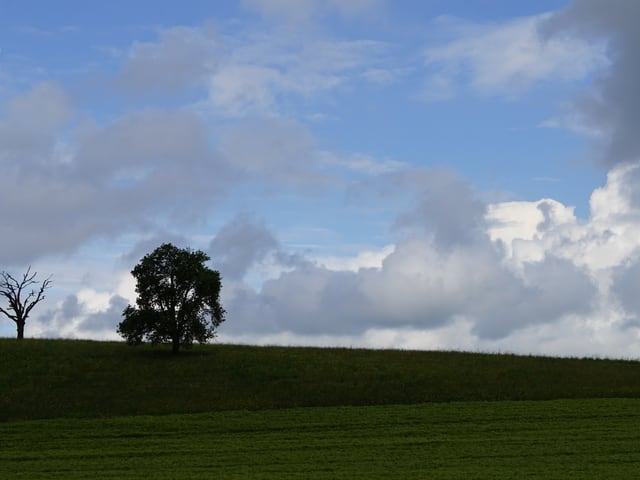 Wetterglück: der Himmel zeigt sich kurz.