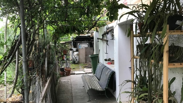 Garten Garten