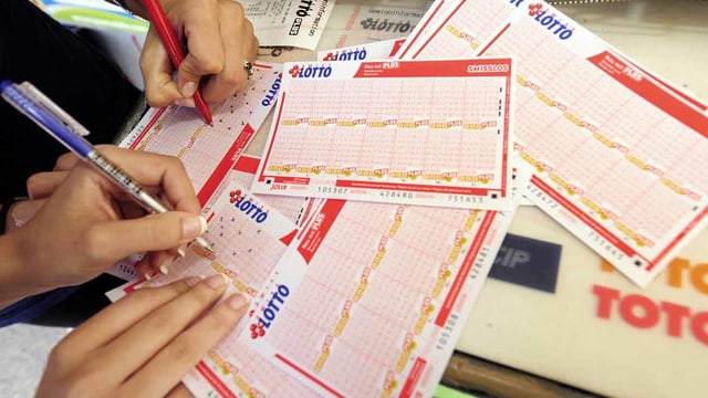 spielen lotto von djeco hans pahl spielautomaten