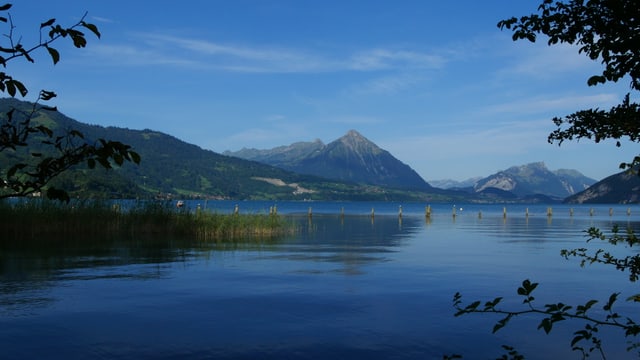 Morgendlicher Thunersee. Morgendlicher Thunersee.