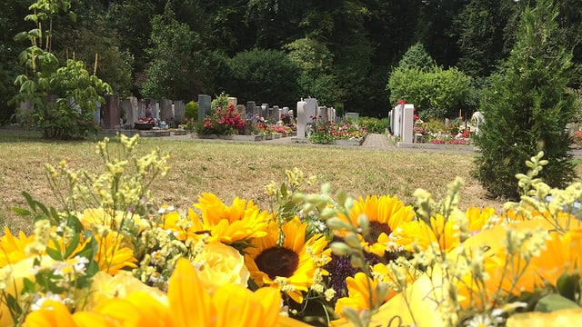 Blumen und Grabsteine Blumen und Grabsteine