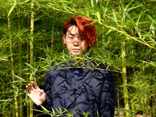«Tomogui»-Darsteller Masaki Suda posiert in Locarno für Fotografen, und wird teilweise von Ästen verdeckt. «Tomogui»-Darsteller Masaki Suda posiert in Locarno für Fotografen, und wird teilweise von Ästen verdeckt.