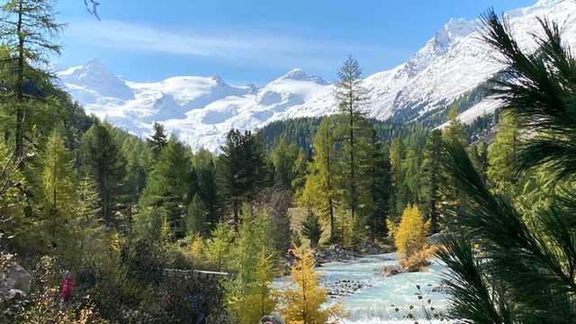 Die Berge im Val Roseg waren schon anfangs Oktober eingeschnet. Die Berge im Val Roseg waren schon anfangs Oktober eingeschnet.