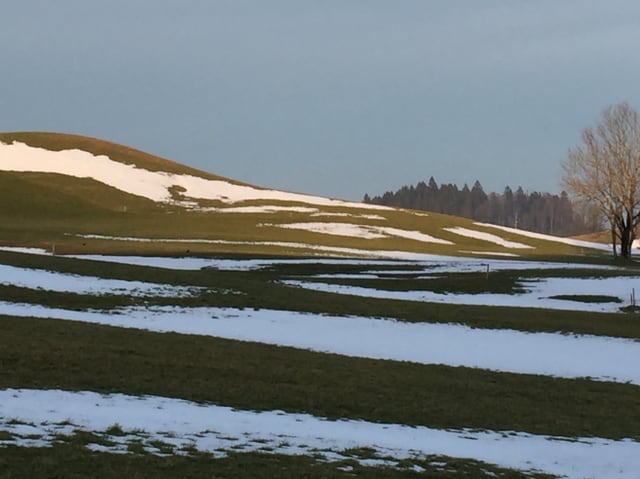 Schneeflecken auf Wiese.
