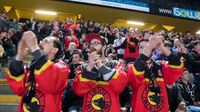 Berner Fans applaudieren auf der Tribüne. Berner Fans applaudieren auf der Tribüne.