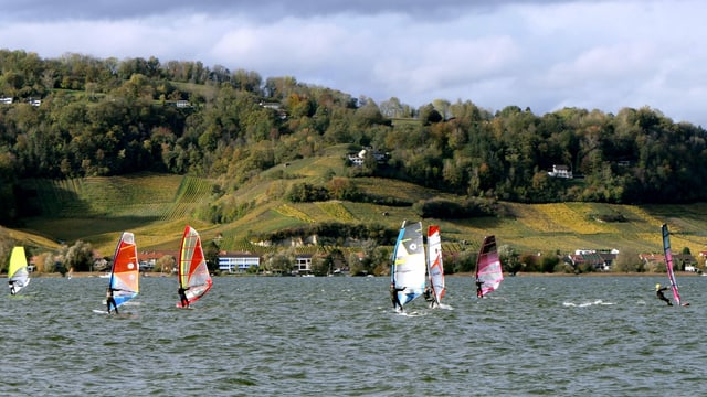 Surfer am harten Wind auf dem Murtensee. Surfer am harten Wind auf dem Murtensee.