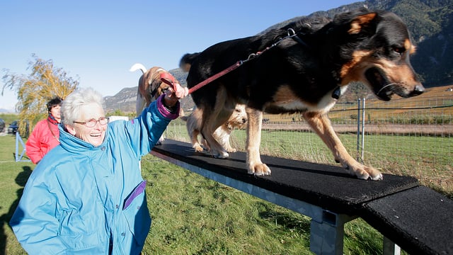 Frau führt Hund über eine Rampe. Frau führt Hund über eine Rampe.