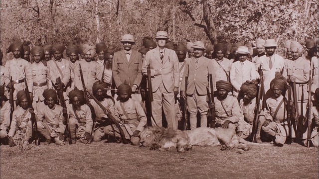 Machtdemonstration: Die versnobten englischen Kolonialherren übten in Indien Grosswild-Jagden als Machtdemonstration gegenüber der Bevölkerung aus. Den Asiatischen Löwen rotteten sie so beinahe aus. Machtdemonstration: Die versnobten englischen Kolonialherren übten in Indien Grosswild-Jagden als Machtdemonstration gegenüber der Bevölkerung aus. Den Asiatischen Löwen rotteten sie so beinahe aus.