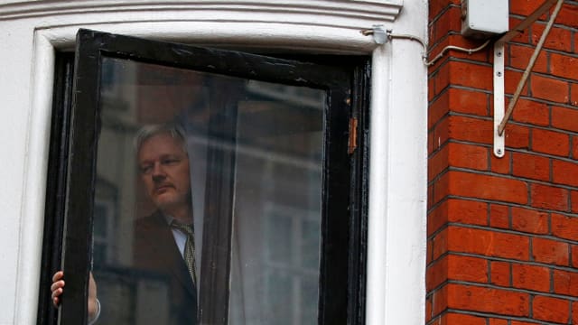 Assange hinter Botschafts-Fenster