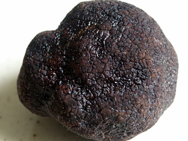 Périgord-Trüffel sind in Schweizer Wäldern selten zu finden. Périgord-Trüffel sind in Schweizer Wäldern selten zu finden.