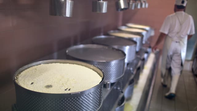 Käseproduktion, Käseproduktion,