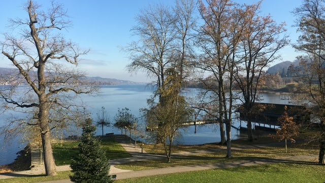 Blick durch einen Park auf den Untersee mit blauem Himmel. Blick durch einen Park auf den Untersee mit blauem Himmel.