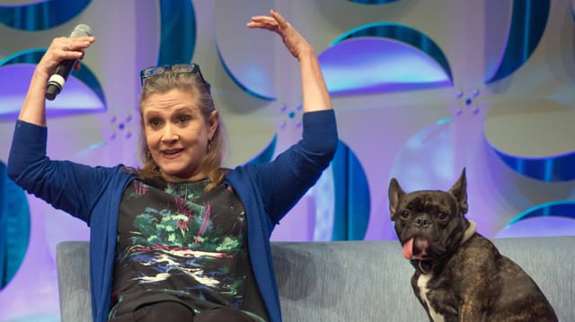 Carrie Fisher hebt ihre Arme, neben ihr: Ihr Hund Gary. Carrie Fisher hebt ihre Arme, neben ihr: Ihr Hund Gary.