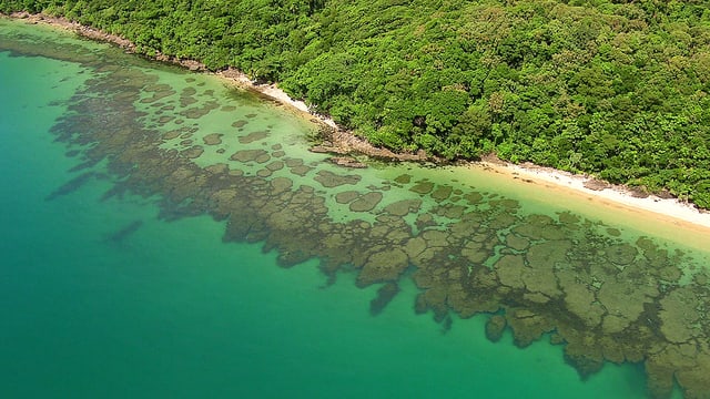 Video «Das Great Barrier Reef: Vom Riff zum Regenwald (2/3)» abspielen Video «Das Great Barrier Reef: Vom Riff zum Regenwald (2/3)» abspielen