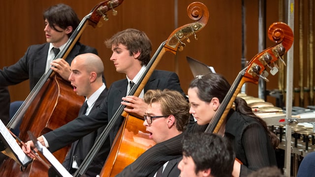 Sänger und Bassisten nebeneinander im Orchester. Sänger und Bassisten nebeneinander im Orchester.