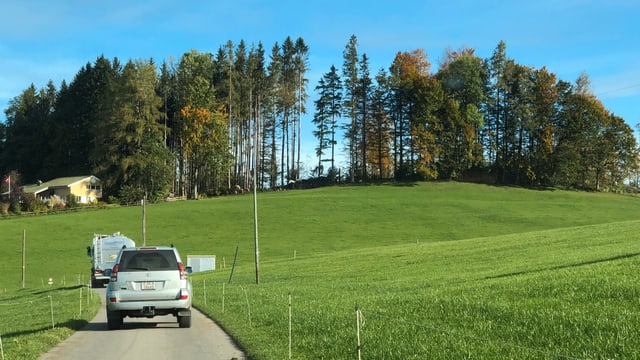 Sturmschäden im Schluchwald in Stein ein Jahr nach dem Sturm Vaia Sturmschäden im Schluchwald in Stein ein Jahr nach dem Sturm Vaia
