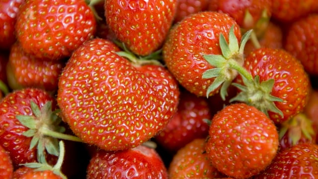Viele Erdbeeren. Viele Erdbeeren.