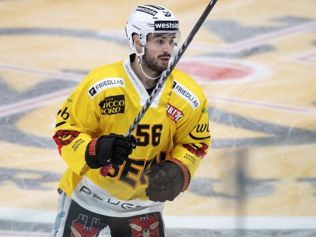 Eishockey-Spieler Eishockey-Spieler