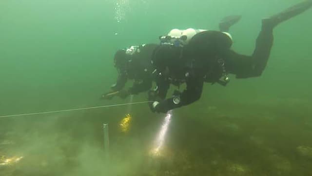 Taucher im trüben Wasser Taucher im trüben Wasser