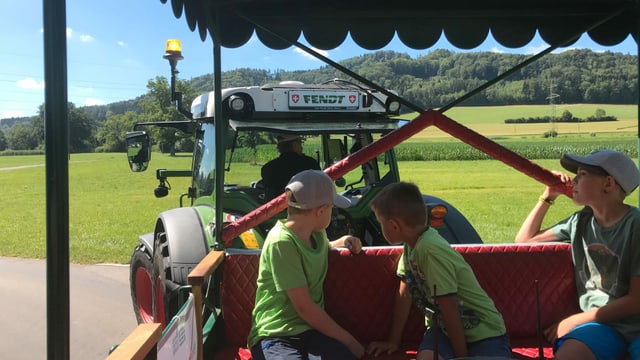 Kinder auf einem Traktor-Anhänger Kinder auf einem Traktor-Anhänger