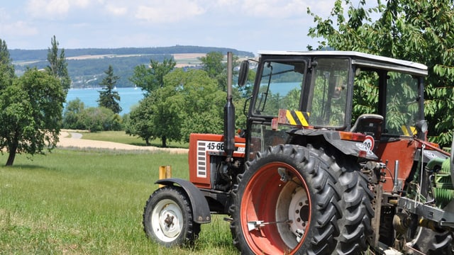 Traktor auf Wiese am Hallwilersee Traktor auf Wiese am Hallwilersee