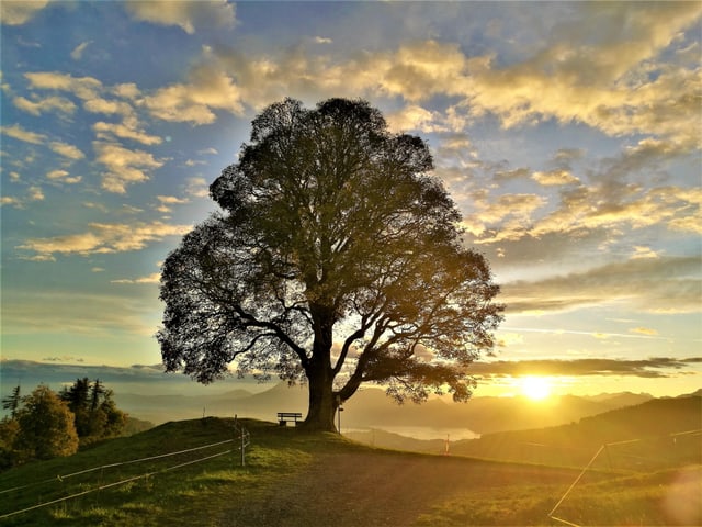 Morgenrot auf dem Holderchäppeli.