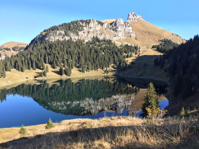 Am Fusse des Stockhorns liegt ein See, indem sich der Berg, die Wiesen und Bäume ganz deutlich widerspiegeln.