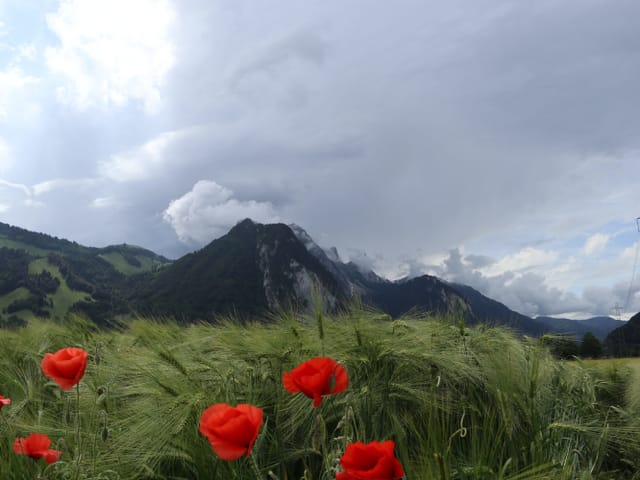 Gewitterstimmung am Stockhorn.