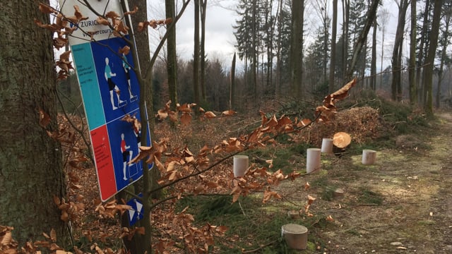 Ein Vita-Parcours-Posten im Wald Ein Vita-Parcours-Posten im Wald