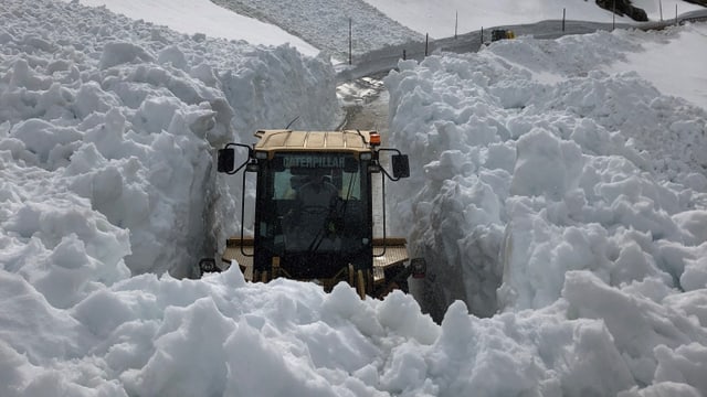 Maschine kämpft sich durch Schneemassen Maschine kämpft sich durch Schneemassen