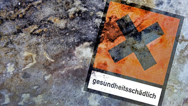 Diese Rattigen Glückspilze Kriegen Massenhaft Einen Geblasen Diese Rattigen Glückspilze Kriegen Massenhaft Einen Geblasen