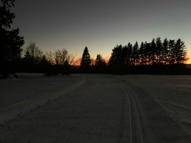 Sonnenuntergang über Baumgruppe.