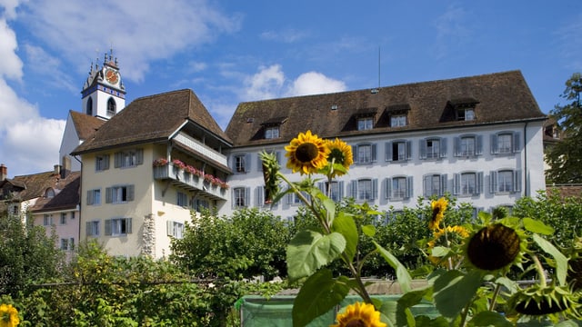 Altes Gebäude in Altstadt, davor Garten mit Sonnenblumen. Altes Gebäude in Altstadt, davor Garten mit Sonnenblumen.