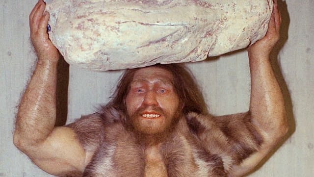 Eine Figur einers Neandertalers mit einem Stein über dem Kopf. Eine Figur einers Neandertalers mit einem Stein über dem Kopf.